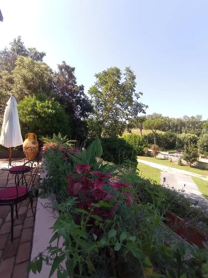 Villa The Olive Grove Roma Guest House