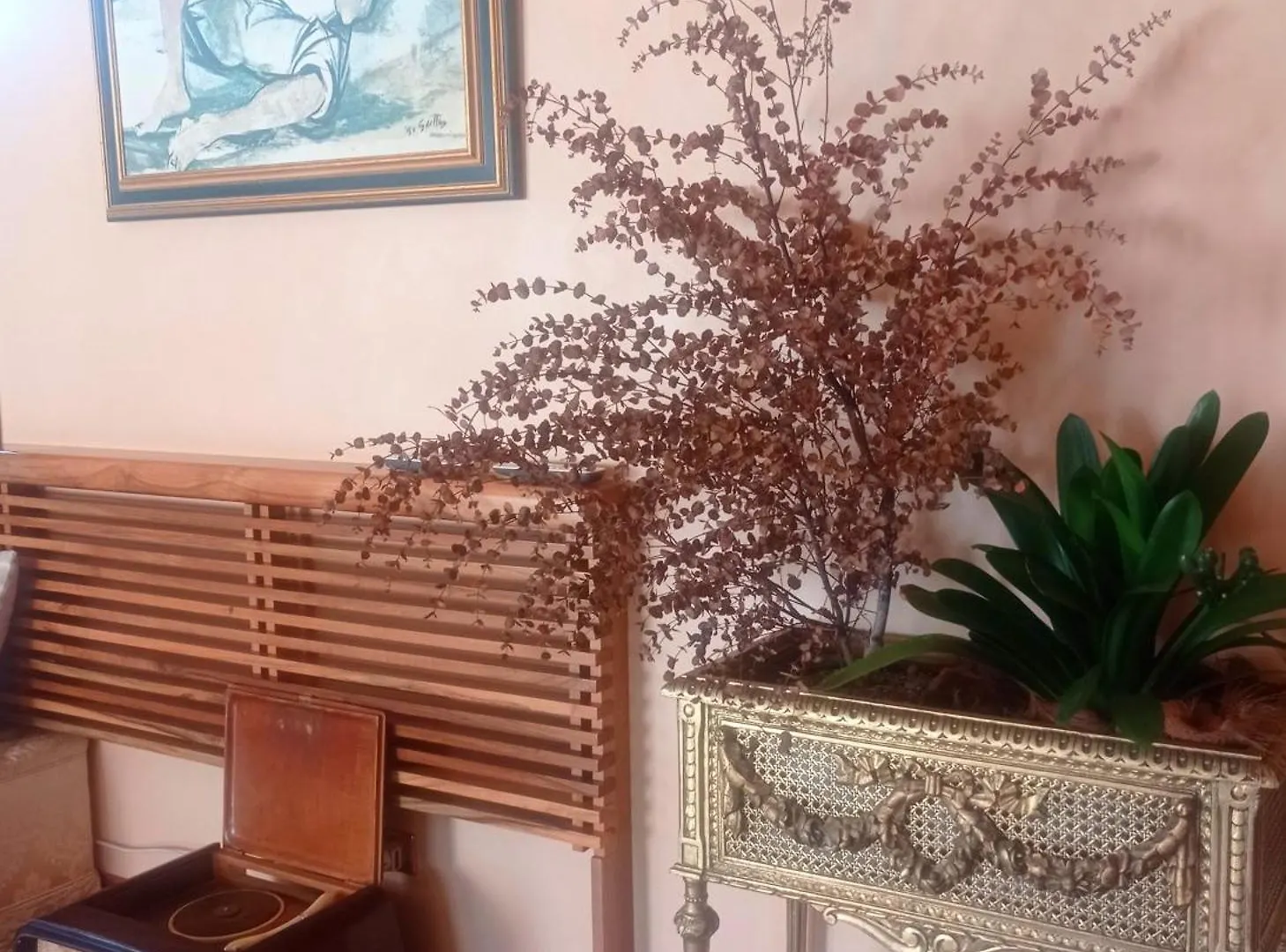 Villa The Olive Grove Roma Guest House