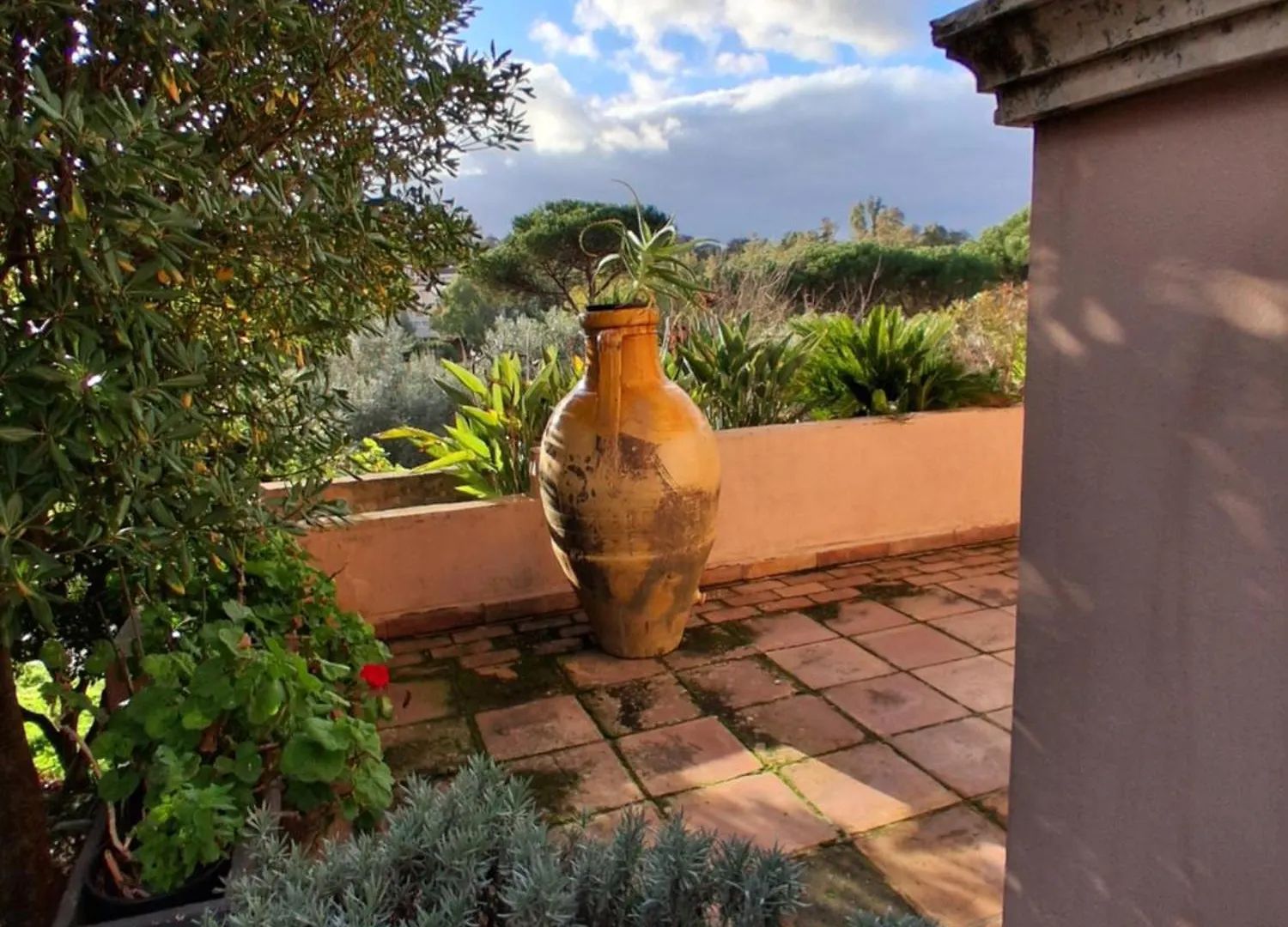 The Olive Grove Roma Guest House Villa